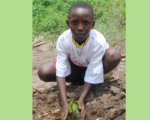Ecosystems and Farm lands Conservation & Rehabilitation