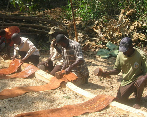 Indegenous Knowledge for Conservation and Development